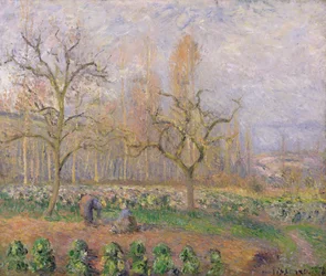 Orchard at Pontoise, 1878